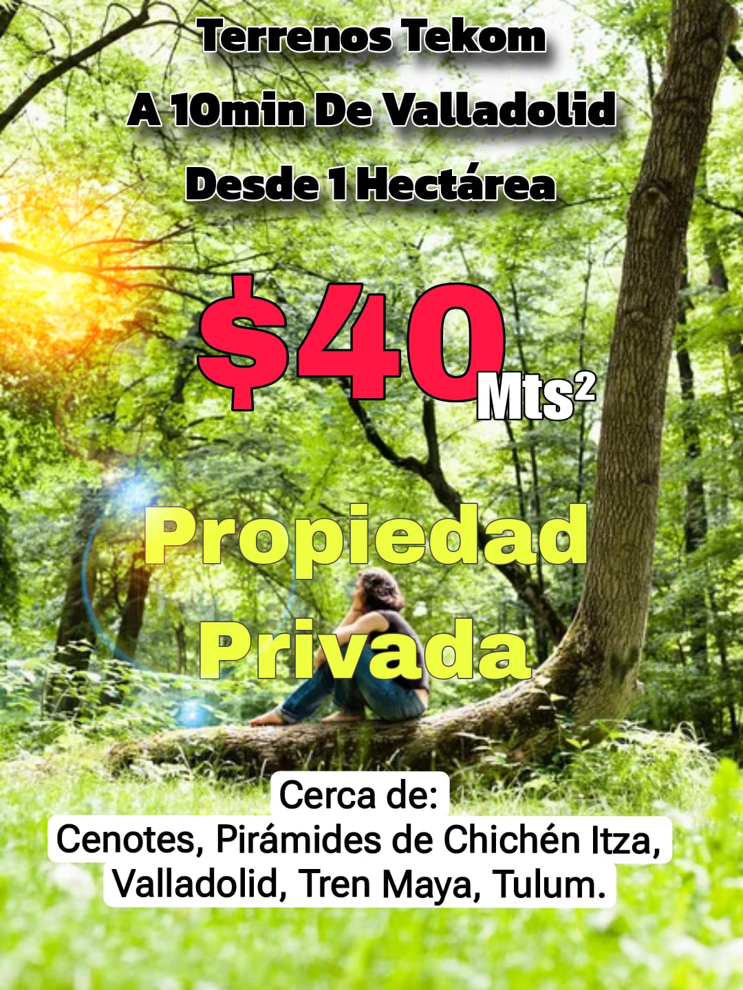 Promoción 14